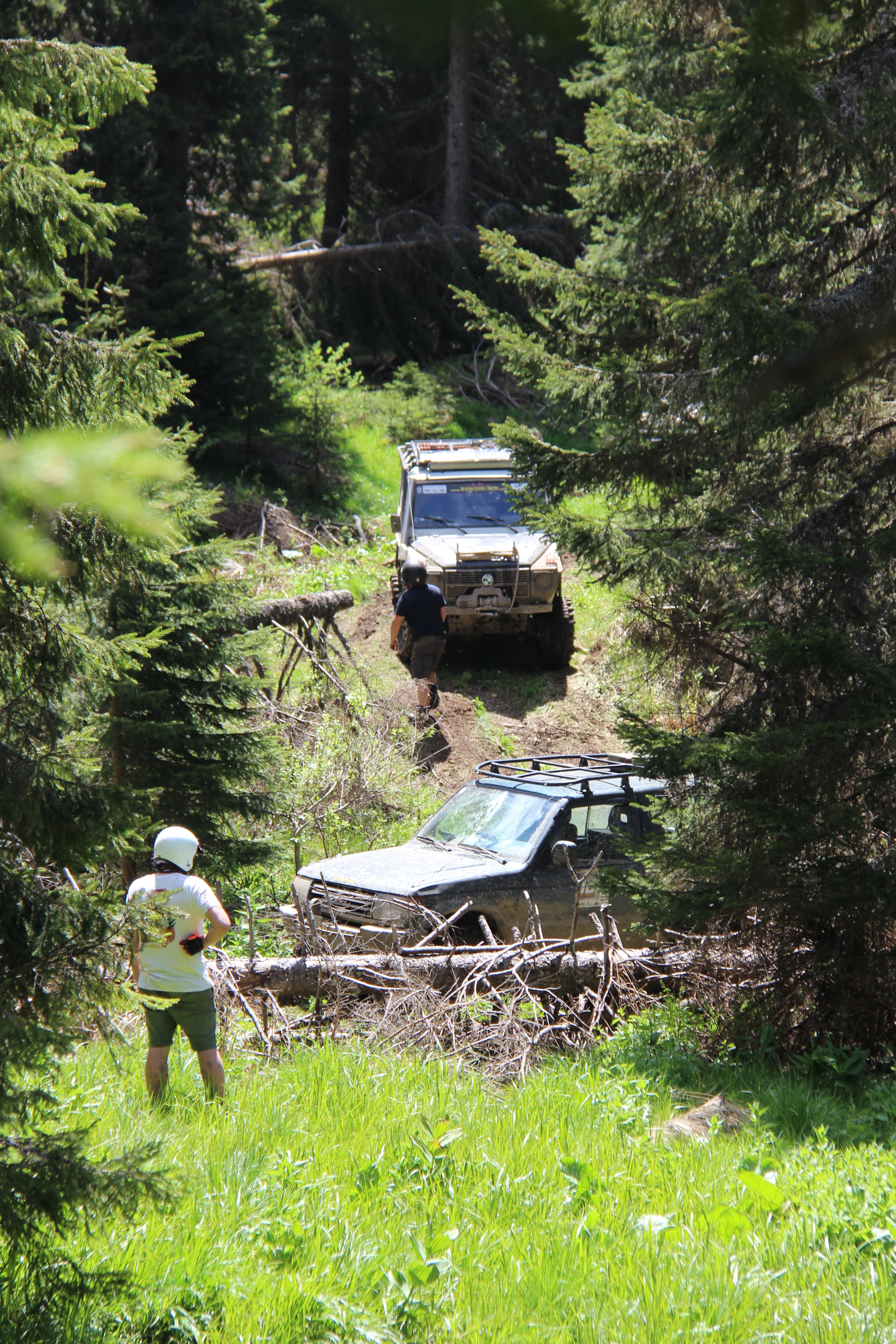 Transsylvania Trophy 2024 – Photo 52 of 187