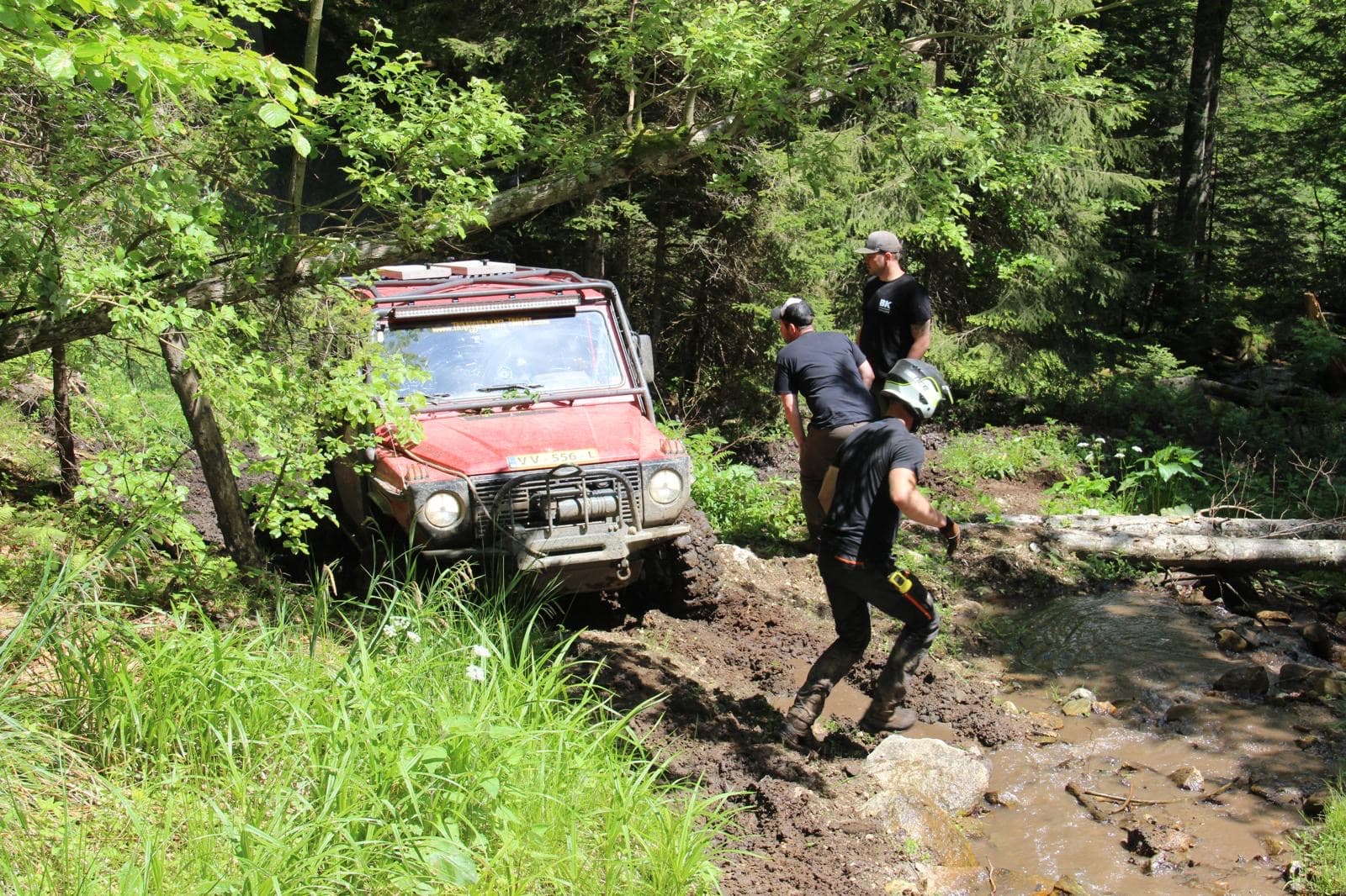 Transsylvania Trophy 2024 – Photo 79 of 187