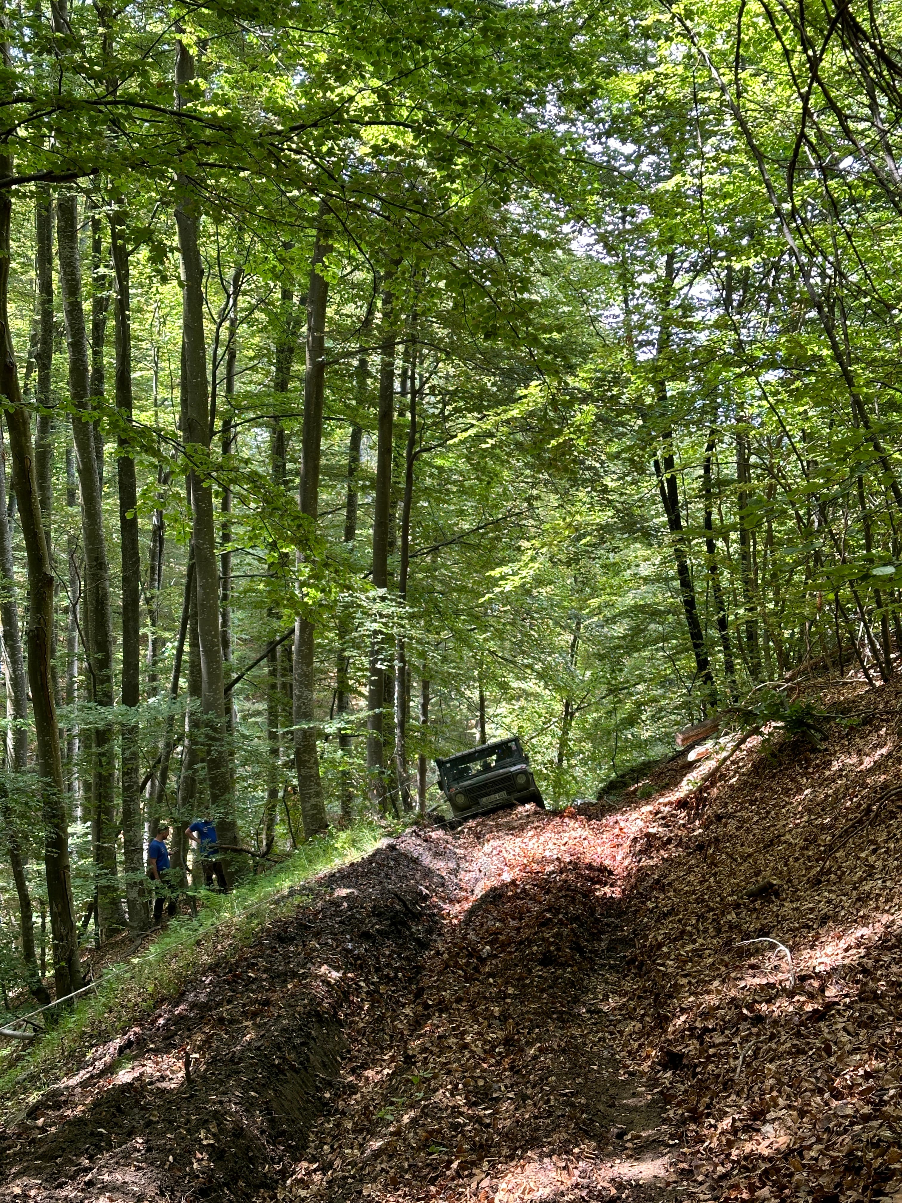 Transsylvania Trophy 2024 – Photo 89 of 187