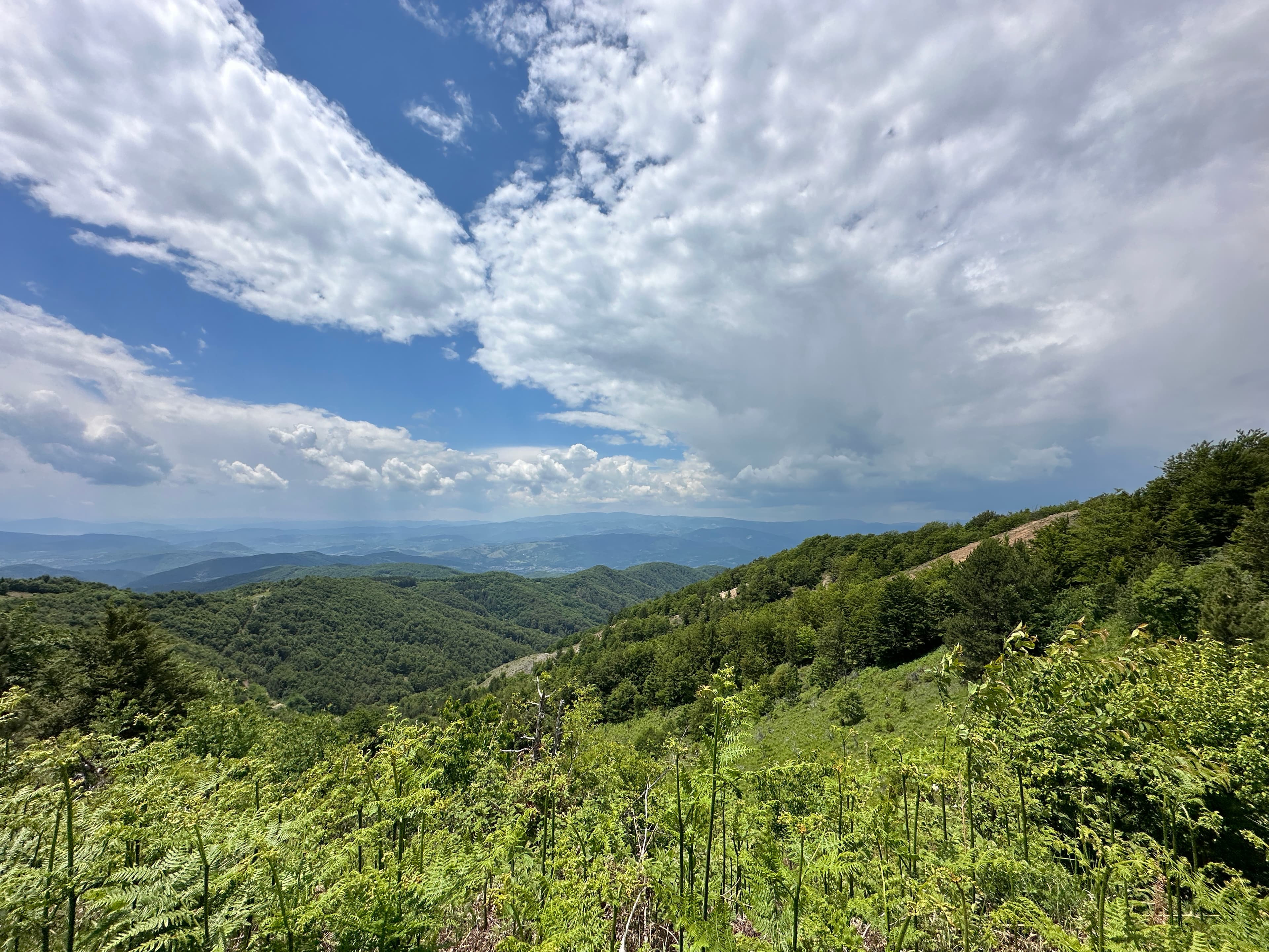 Transsylvania Trophy 2024 – Photo 90 of 187