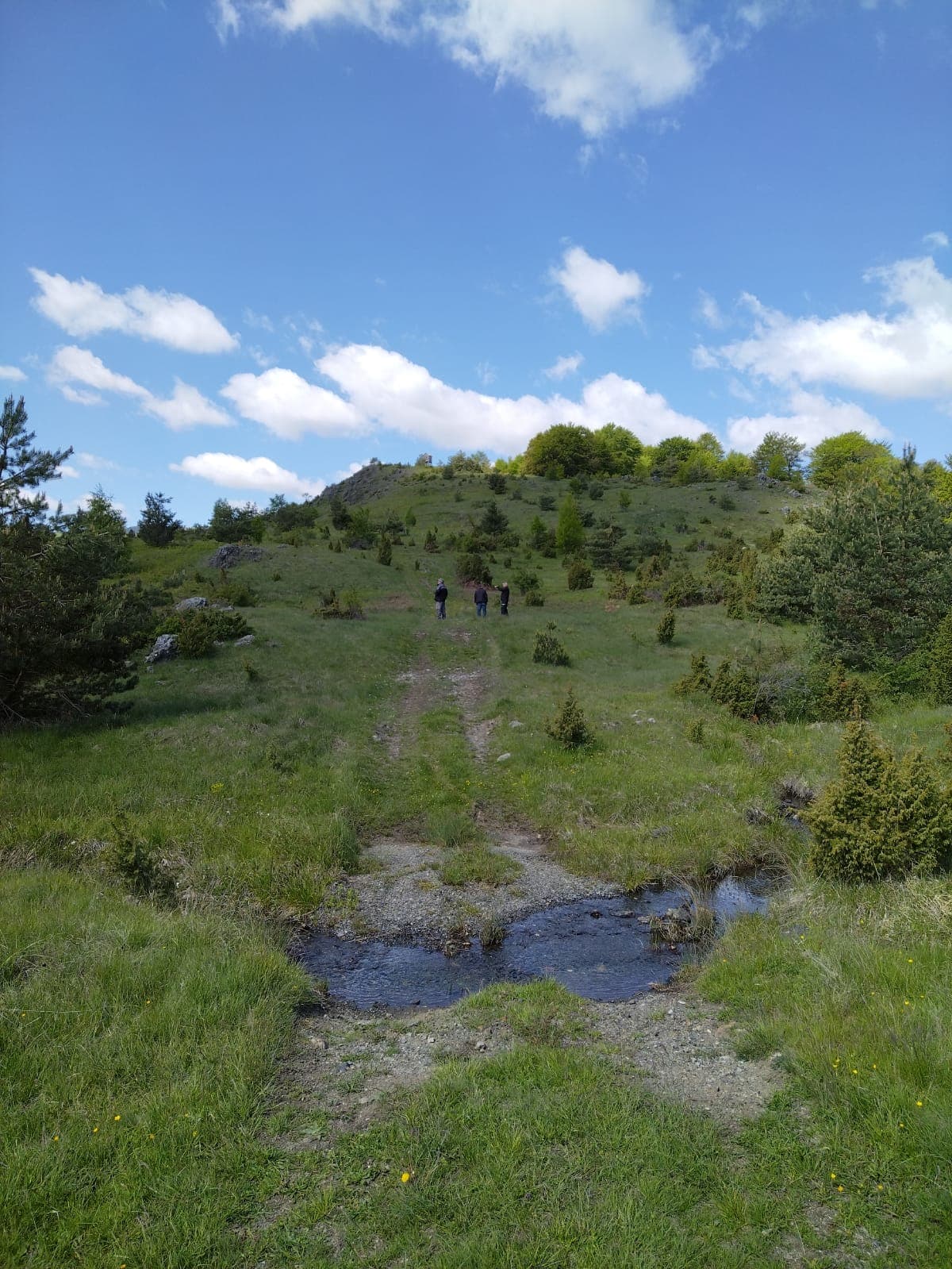 Transsylvania Trophy 2025 – Photo 11 of 105