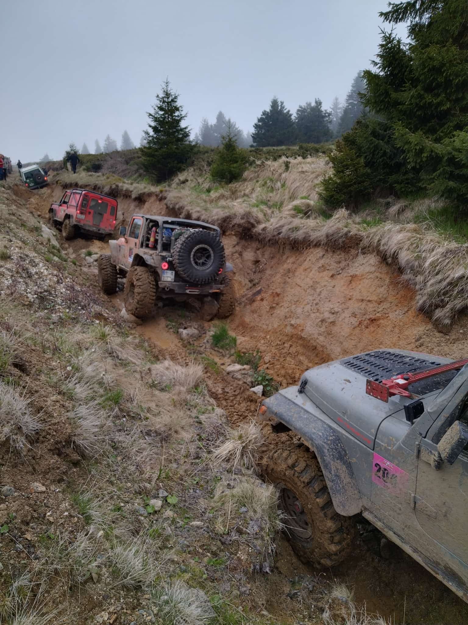 Transsylvania Trophy 2025 – Photo 13 of 105