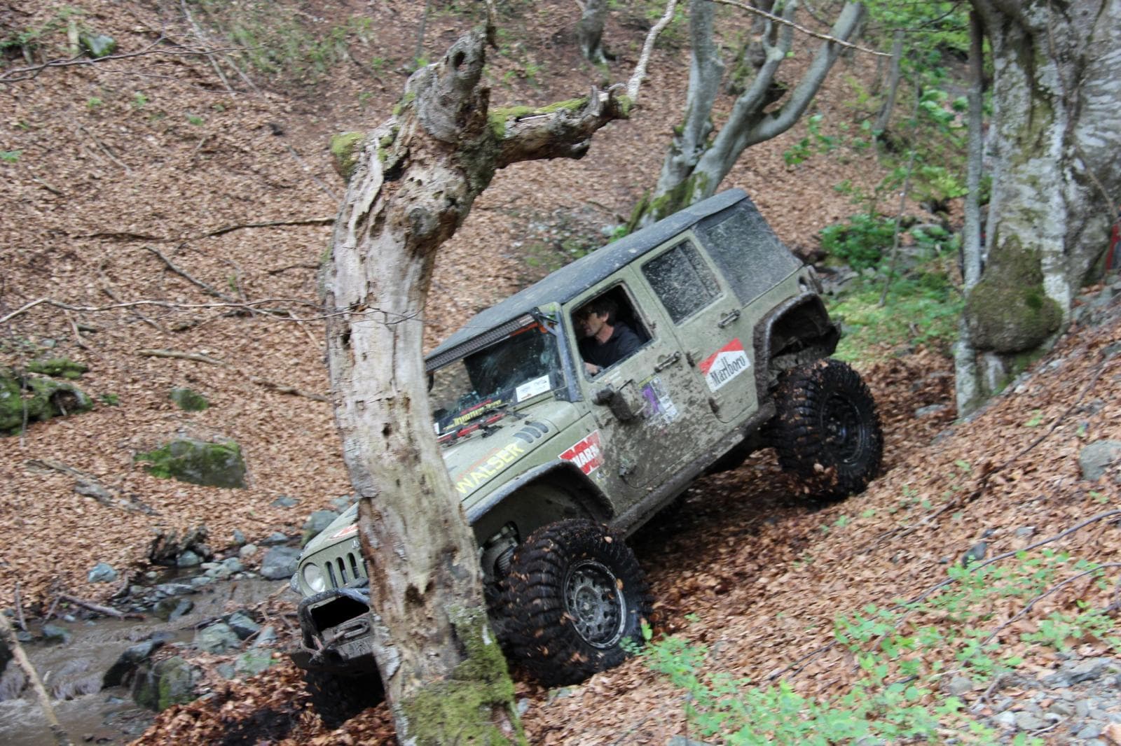 Transsylvania Trophy 2025 – Photo 20 of 105