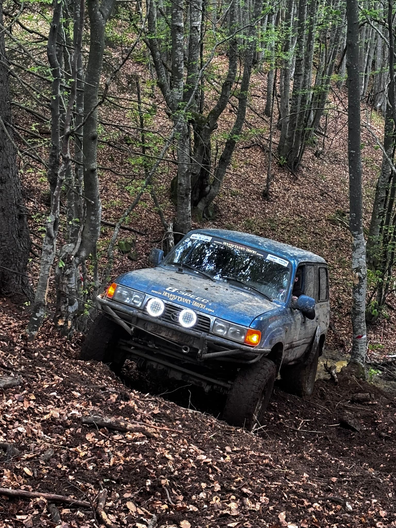 Transsylvania Trophy 2025 – Photo 47 of 105