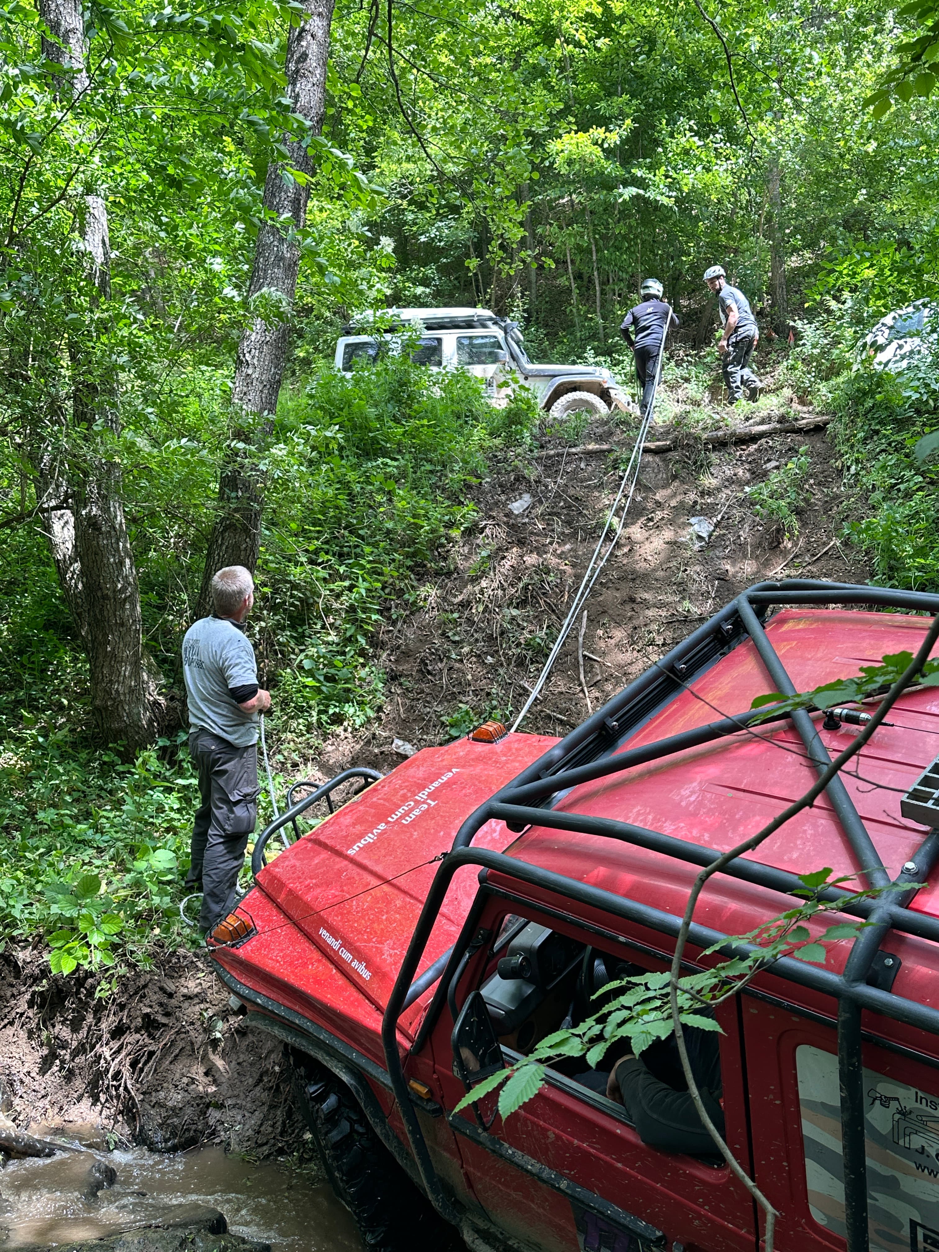Transsylvania Trophy 2025 – Photo 59 of 105
