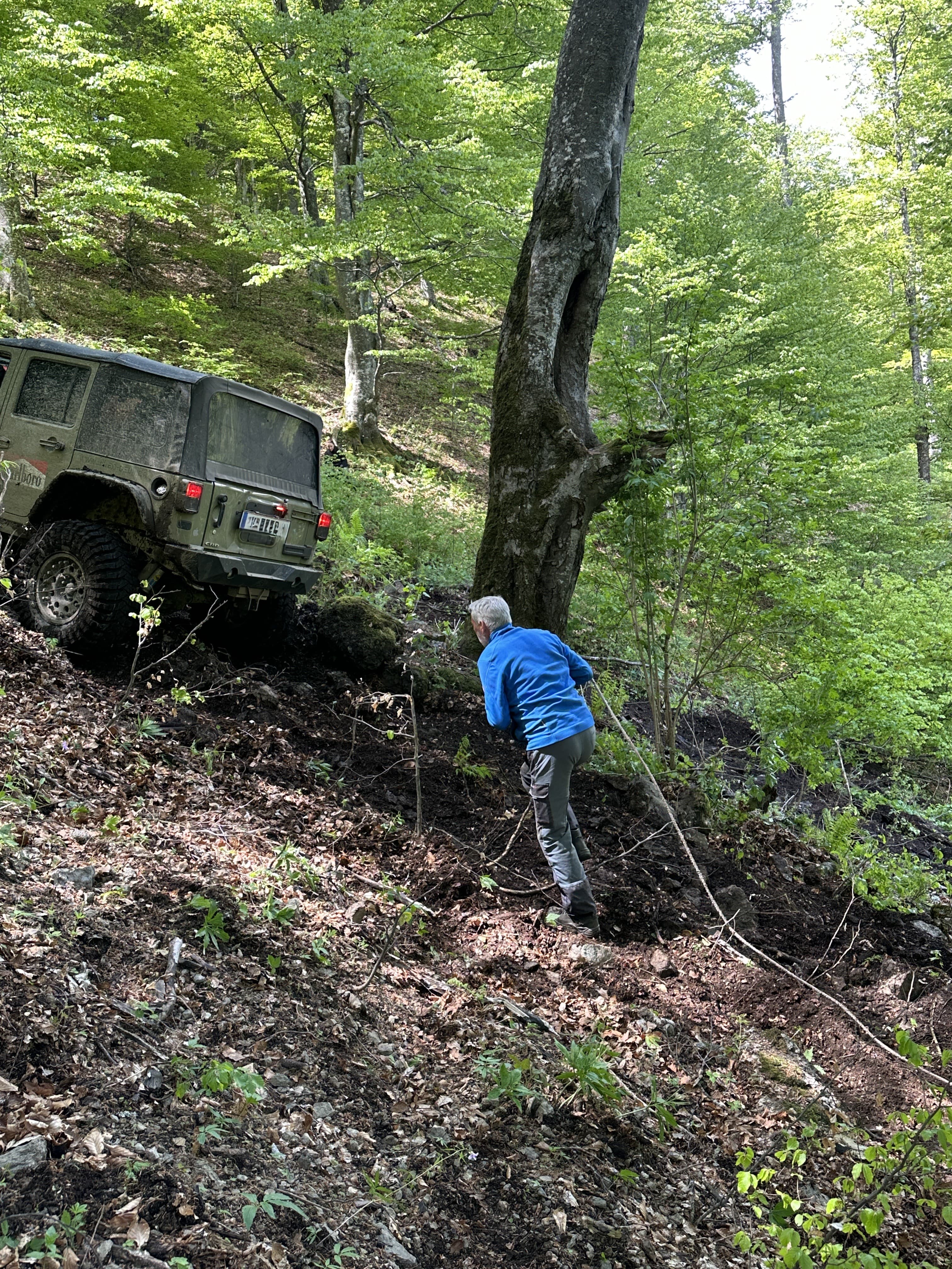 Transsylvania Trophy 2025 – Photo 75 of 105