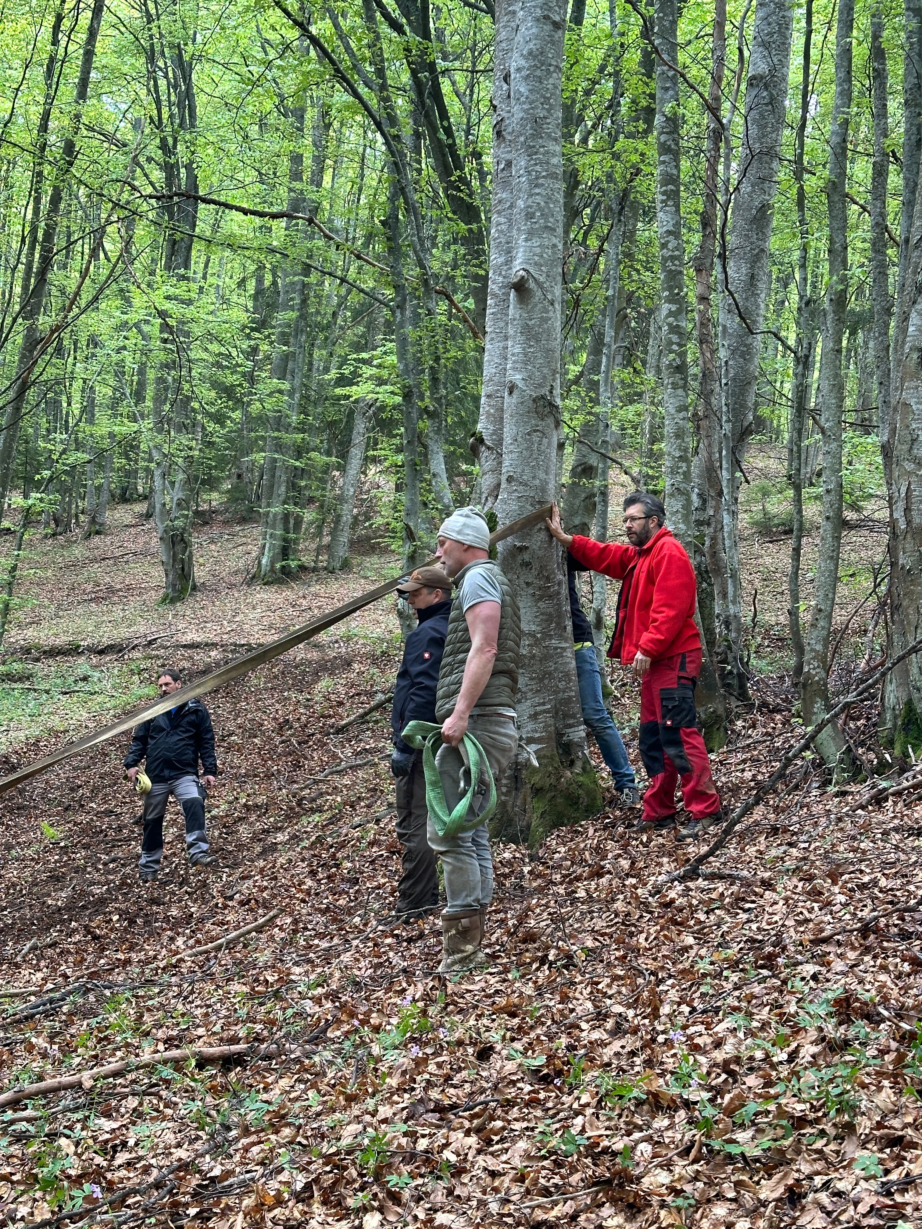 Transsylvania Trophy 2025 – Photo 89 of 105